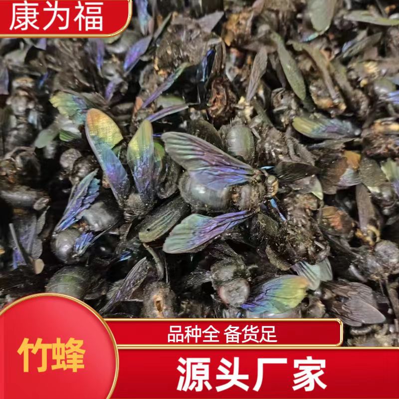 Zhu Feng (Bamboo Bee) — Dried Traditional Chinese Medicinal Insect, Sun-Dried Whole Body key features