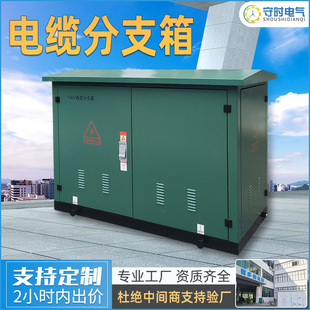 10kv�߉���|��֧��DFW-12/630aһ�M���������Wʽ��|�ӵر��o��