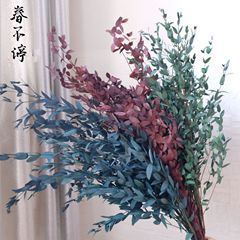 Yunnan fine-leaf eucalyptus, everlasting flowers, dried flowers, bouquet manufacturers, wholesale home decoration, wedding flower arrangement props