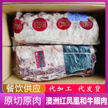 ����203�t�P�˺�ţ����M2-3ѩ����ţ����ţ�����Ϳ���