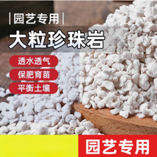 园艺膨胀珍珠岩植料颗粒种植营养养花通用保温多肉兰花蛭石专用