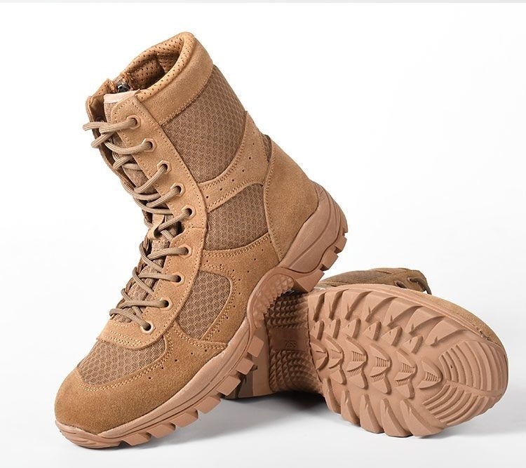 e218cc4b-eb87-4634-9ee2-8e338c88997f.jpe