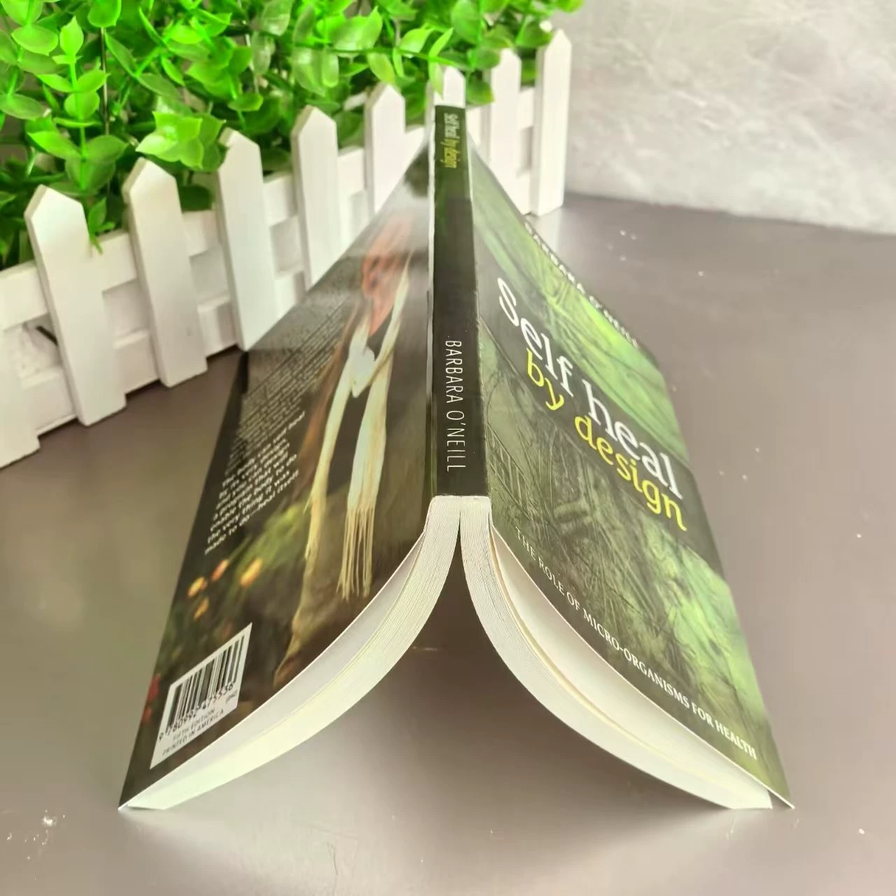Самовосстанавливающаяся английская версия Self Heal by Design—Роль Micro-ONGAN