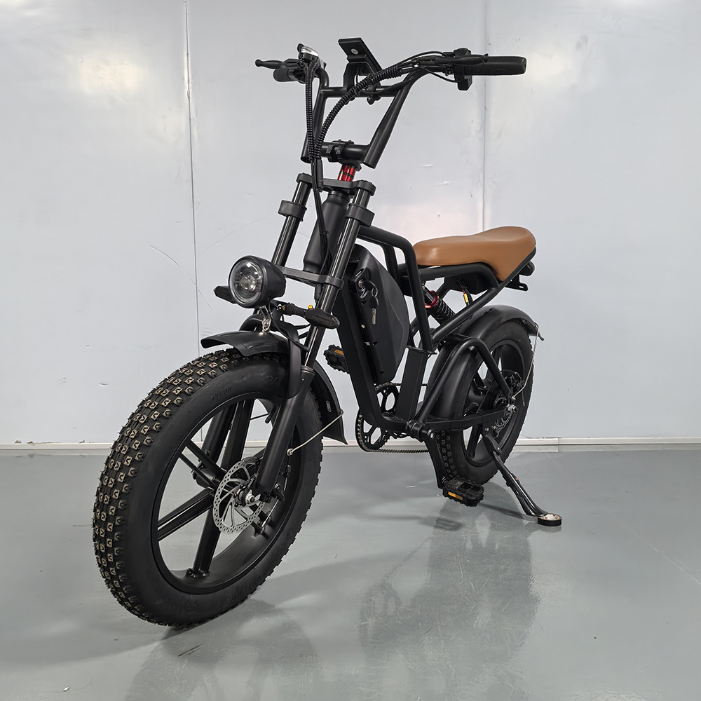 20-inch Fat Tire Off-Road Snow Beach Integrated Wheel Electric Bicycle