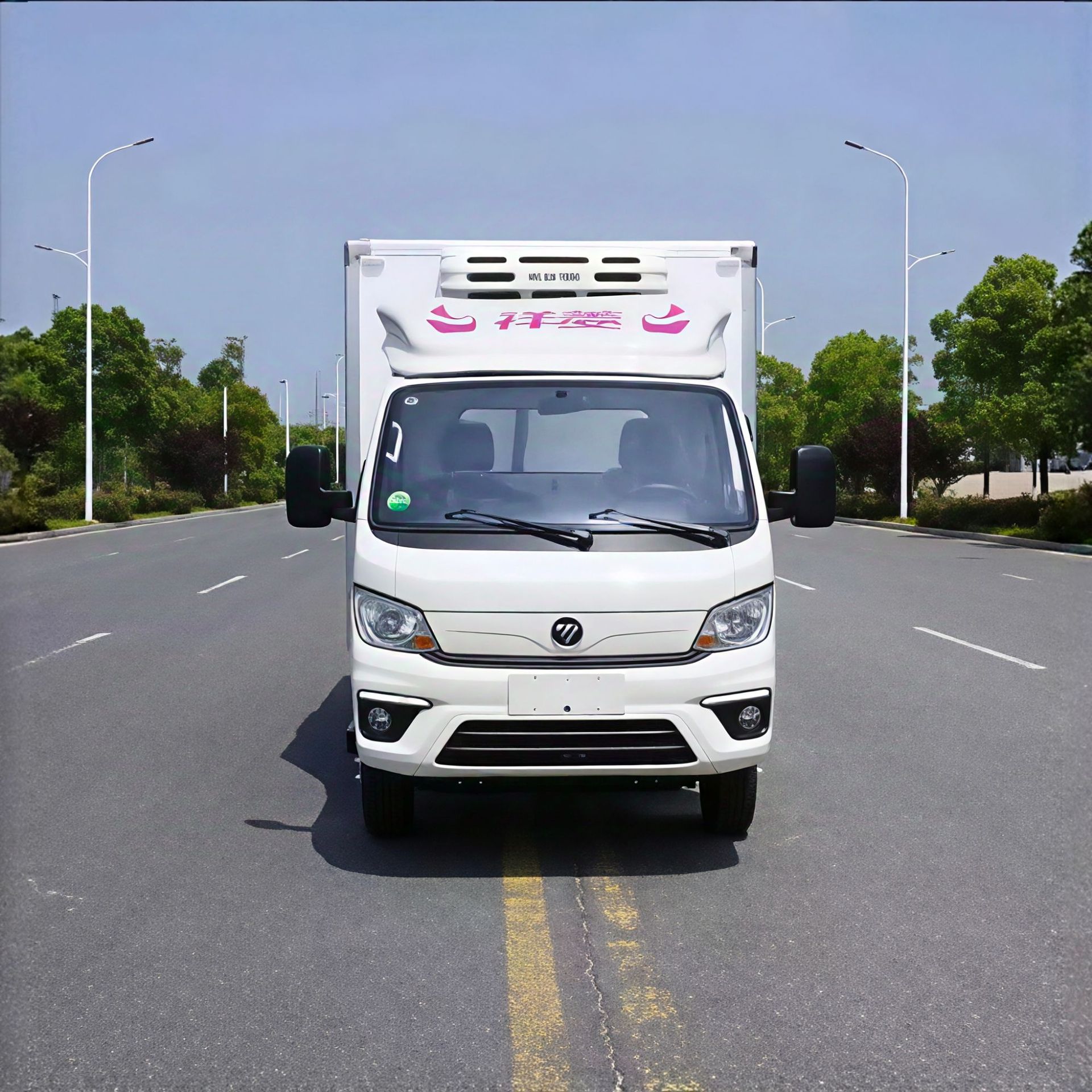 福田祥菱M2 汽油冷藏车 冰淇淋雪糕运输车 保温效果好