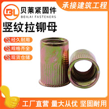 ���a���Tƽ�^�Q�y�T��ĸ ����M10x1.0�����Ӵ�����ĸ��ñ�A�T��ĸ