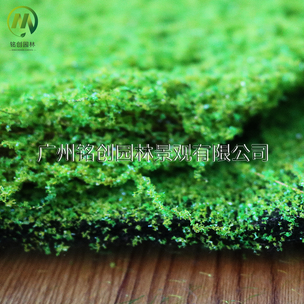 Césped de musgo artificial para micropaisajes, césped de musgo sintético para decoración de interiores, césped de musgo artificial flocado