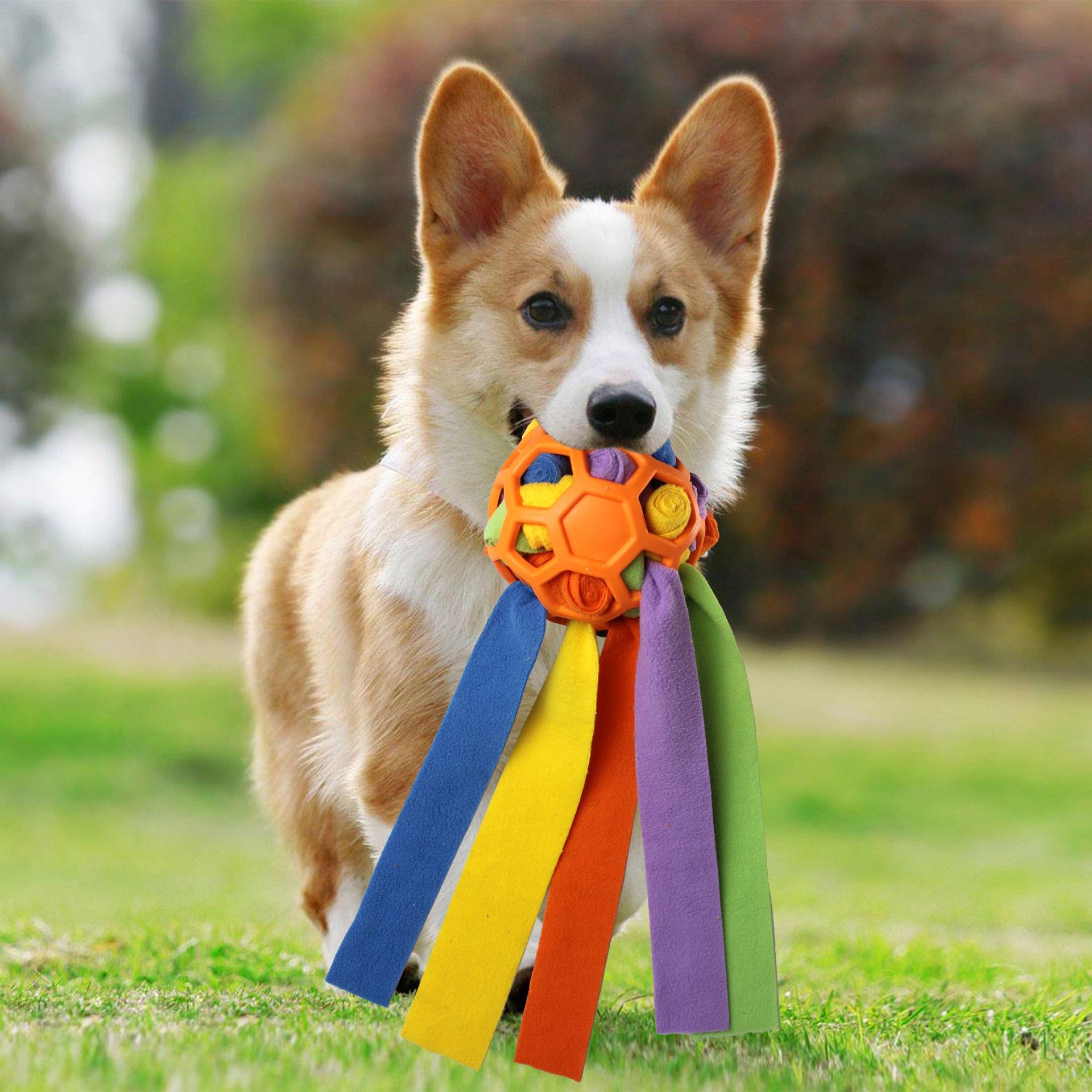 Haustierspielzeug, Schnüffelbälle für Haustiere, Blindbox für das interaktive Training mit Futterleckage für Hunde_voghion.com