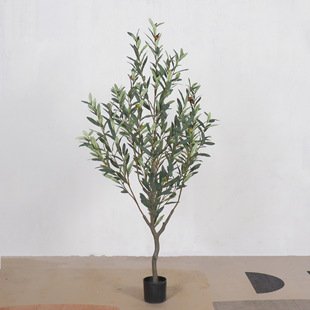 ϙپGֲ҃b쾰tϙ䶨Ƹ߶ܛ|Ұ~