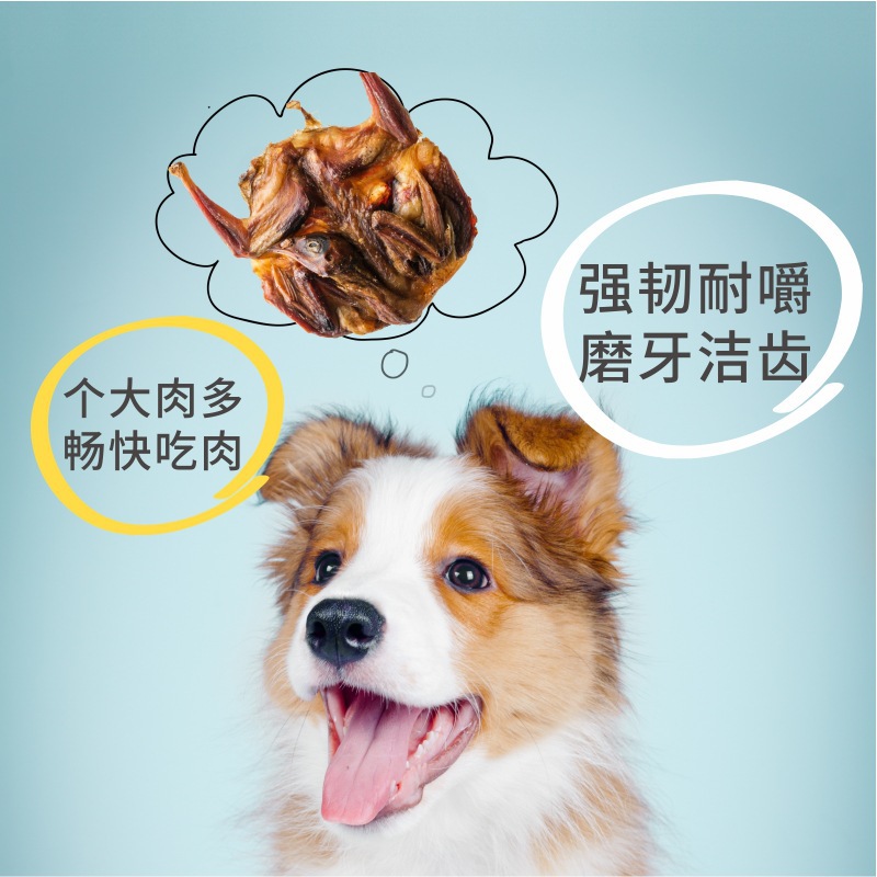 Aperitivos para mascotas Aperitivos secados al aire de codorniz grande al por mayor carne de codorniz para gatos y perros