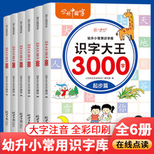 识字大王3000字幼升小识字库幼儿童学前看图识字基础识字书籍批发