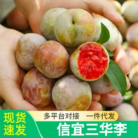 块茎类;其他水果;苹果