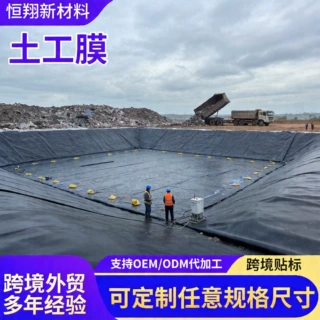 定制防渗土工膜养殖污水池防渗膜隧道地铁工程防水防渗土工膜