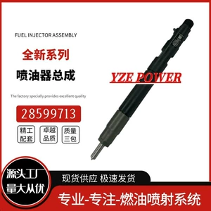 28599713 Common Rail Dizel İnjektoru 1100100Xed95 4D20M Mühərriki üçün