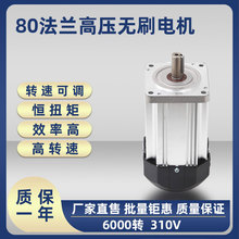 500W-1255Wֱˢ80ˢֱɵ