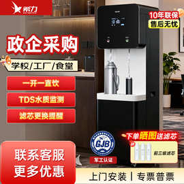 希力商用净水器单位办公室学校大流量直饮机RO反渗透过滤加热立式