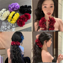 �׉���ͬ��͹żtɫ�����㽶�AŮ�߼��������~�������~�A�ll�A