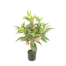 ӘGֲb҃辰[߷ֲ̨滨