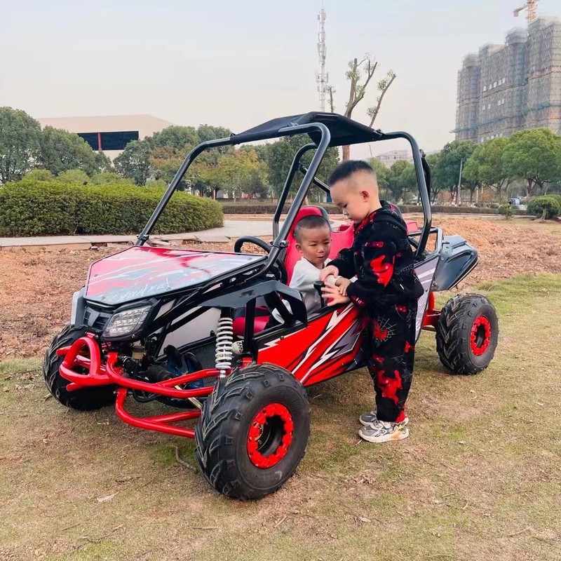 Arctic Sky 125cc 親子四輪ジャングルオフロードカート UTV 子供用 ATV 龍鑫 WHS Weihan|undefined