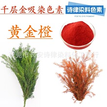 ǧ�ӽ���Ⱦ ˮ����ɫ�� �Ї��t ��ɫ ��ȸ����ܽ�o�������տ�