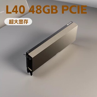 Ӣ���_�@��L40 GPU 48GB PCIE NVIDIA������Ӌ������D����Ⱦ����