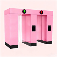 双通道全高平移闸高端小区防盗人行通道闸火车站智能全自动平移闸