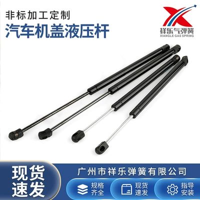 Factory Direct supply car cover hydraulic Rod excavator front cover gas spring European and American car hood support rod