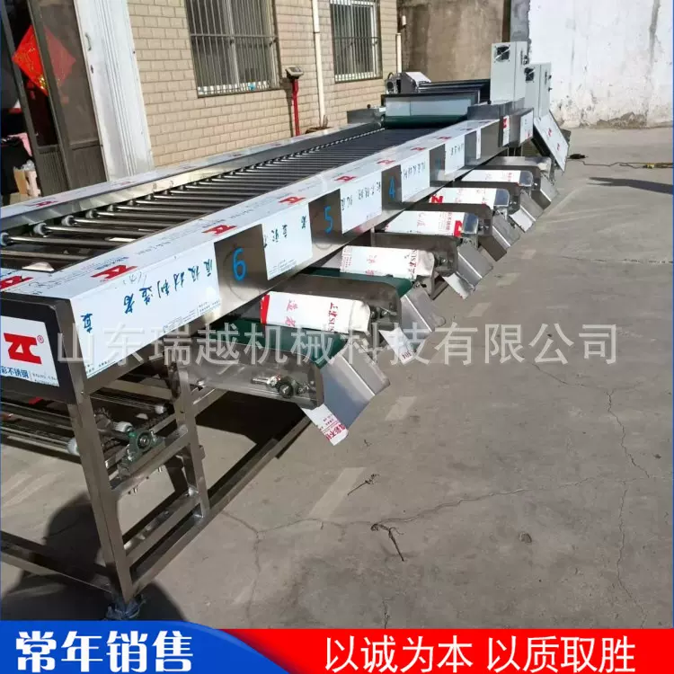 厂家多功能马铃薯筛选机 不锈钢大型瓜果分级机 砂糖橘分选机