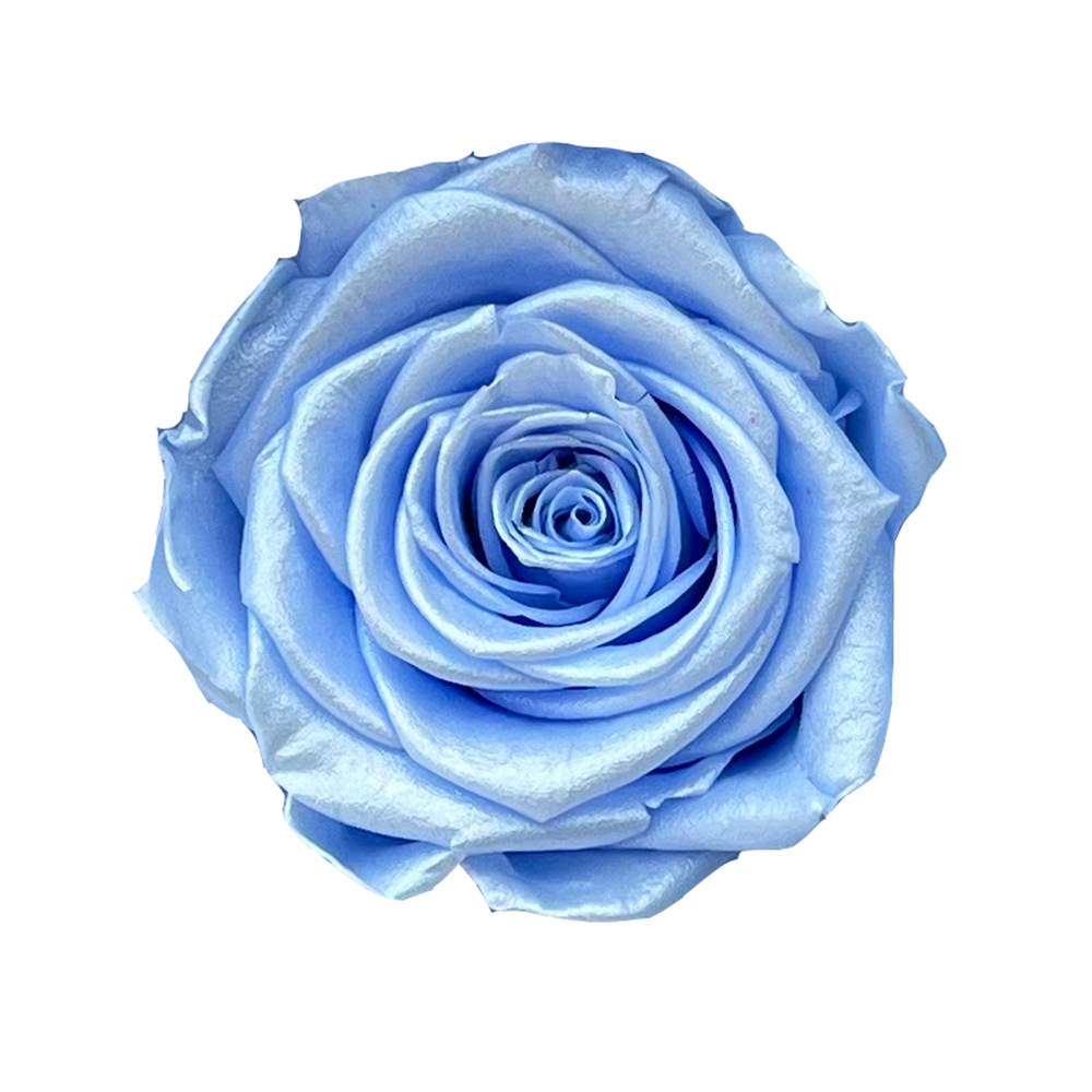 Flores preservadas de calidad A+, rosas en degradado de varios tamaños, flores secas, rosas en degradado azul hielo, flores preservadas del fabricante de Yunnan. image 29