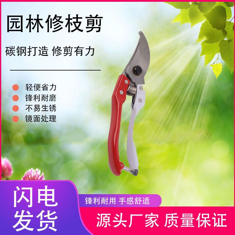 红白园艺剪刀修枝剪摘果剪整枝剪花剪果枝剪园林剪花枝剪高碳钢