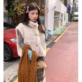 羊羔毛马甲女秋冬2025新款叠穿仿羊羔绒夹背心外套保暖短袖加厚