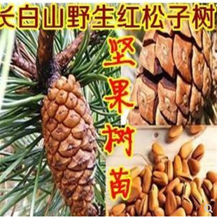 �Y���ѵ��ɘ�������������������� ����Y������ �t���Ә������
