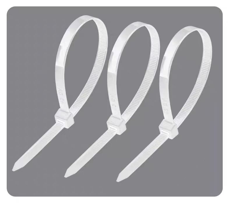 微信图片_20250501134052