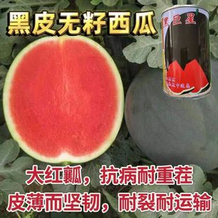 ���������ϷN�Ӵ����Ƥ�o�����ϷN������8424���b�ھ����s������