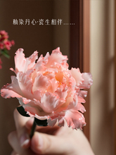 ���z�ֹ��մ�ĵ���ɻ���[�����ֶY��̎������ώ���Ϧ��Ů��