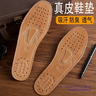 Ь�|��������͸������ţƤ�iƤ�\����ʿŮʿƤЬ�|������