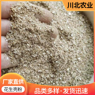 �S�����l��������������|�Bֳ�û���Ƥ��������������ӻ�����