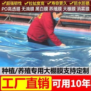 Greenhouse film anti-aging non-drop film thermal insulation thickened transparent high transparent pofilm anti-fog vegetable planting film