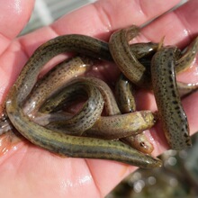 ̨�����q�����rС���q�������q���D�������~����������q�����l