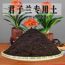 �����m�������m�I�B�������B���Nֲ��������ͨ�÷N������