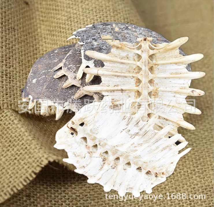 Dried Turtle Shell Bie Jia Whole Pieces Traditional Chinese Herb 500g overview