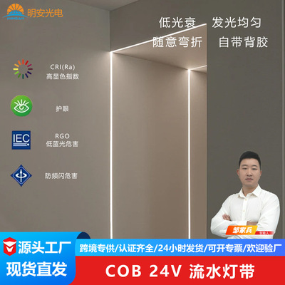 (Оптовые продажи), светодиодная умная атмосферная двухцветная светодиодная лента, 24v