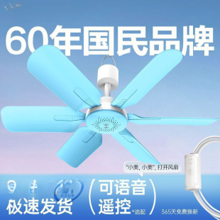 ����С�����L�ȼ��ÌW�������Î����g������L�ȴ��^�����o�����L