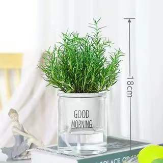 Pot