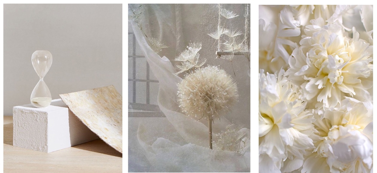 O1CN01cGRpPi29rvWcuHz5Y_!!1735