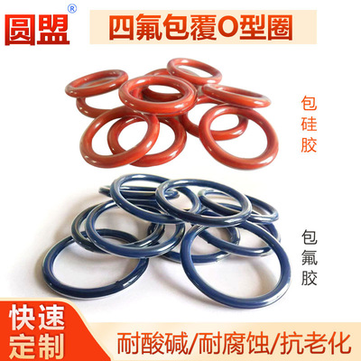 customized O-ring silica gel Fluorine rubber All inclusive PTFE Chemicals Corrosion seal ring