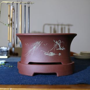 ��ɰ�����������K��¹řE�A�Ύ������������Ծ����������ֹ���