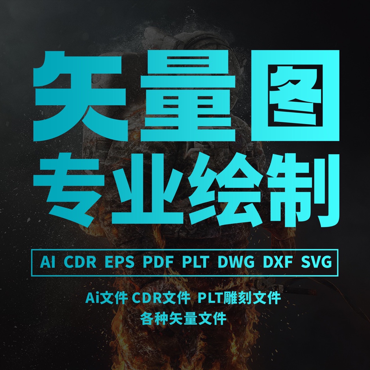 矢量图制作cdr做图平面设计ai图文logo排版代画图海报图案ps代做-阿里巴巴
