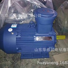 YQBͱ늙CoYYB-200L1-2-30늙CۉmIP56糱