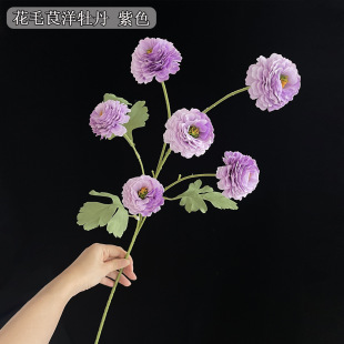 �¿�3�^��ëݢ��c��Y�û���·���廨�b��滨�Ɍ��쾰�ɏ��